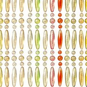 Vliegengordijn kralen op maat: recht kleurenmix