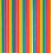 Vliegengordijn plastic stroken roze/blauw/groen/oranje 90x220cm