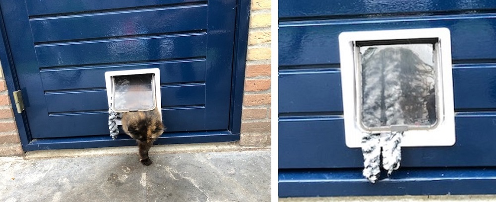 vliegengordijn kattenluik