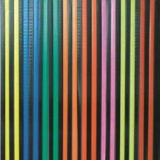 Vliegengordijn stroken gekleurd met zwart 90x200cm