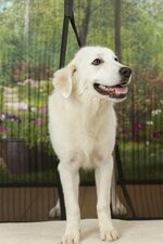 Magneethor 100x220cm zwart